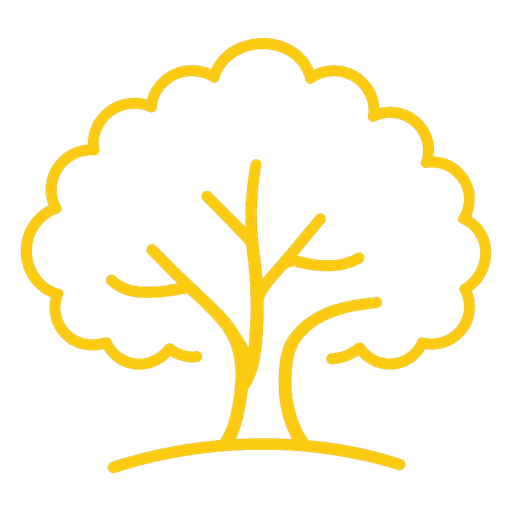 North Central Florida region